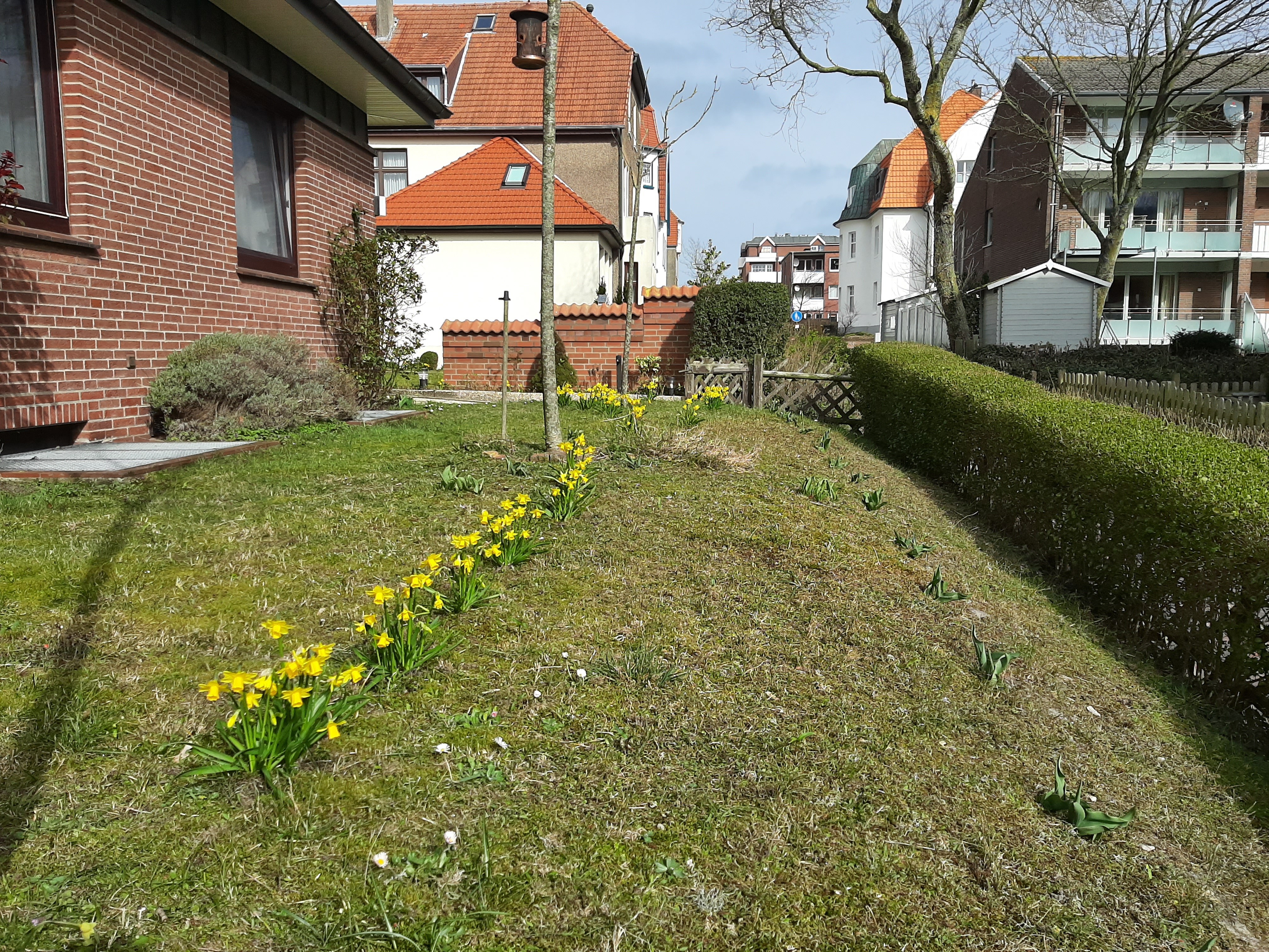 Sven-H. Mhr, Wangerooge