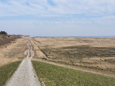 Sven-H. Mhr, Wangerooge