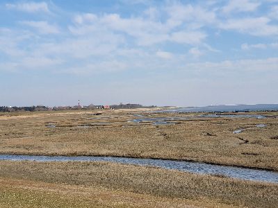 Sven-H. Mhr, Wangerooge