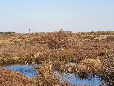 Sven-H. Mhr, Wangerooge